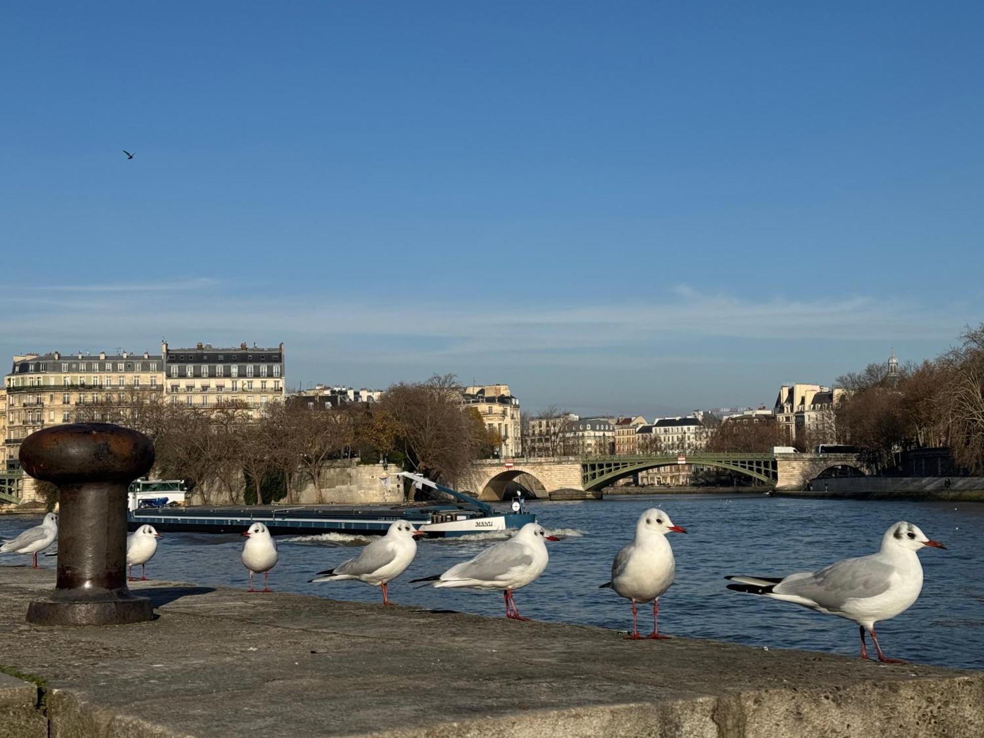New Private Apartment Paris City Center - Les Arenes Pantheon Notre-Dame Jussieu Jardin Des Plantes Quai De Seine Екстериор снимка